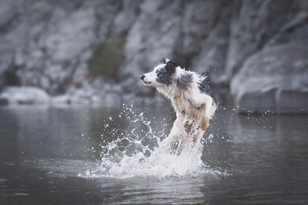 Photograph by GRISELDA FERNANDEZ