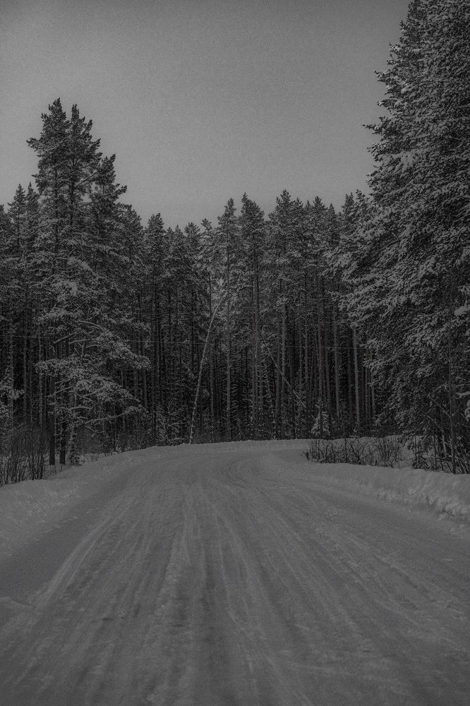 Photograph by Vladimir Petukhov