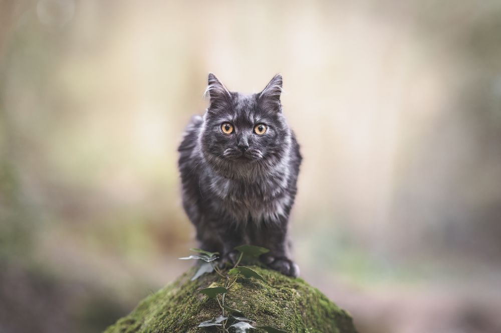 Photograph by GRISELDA FERNANDEZ