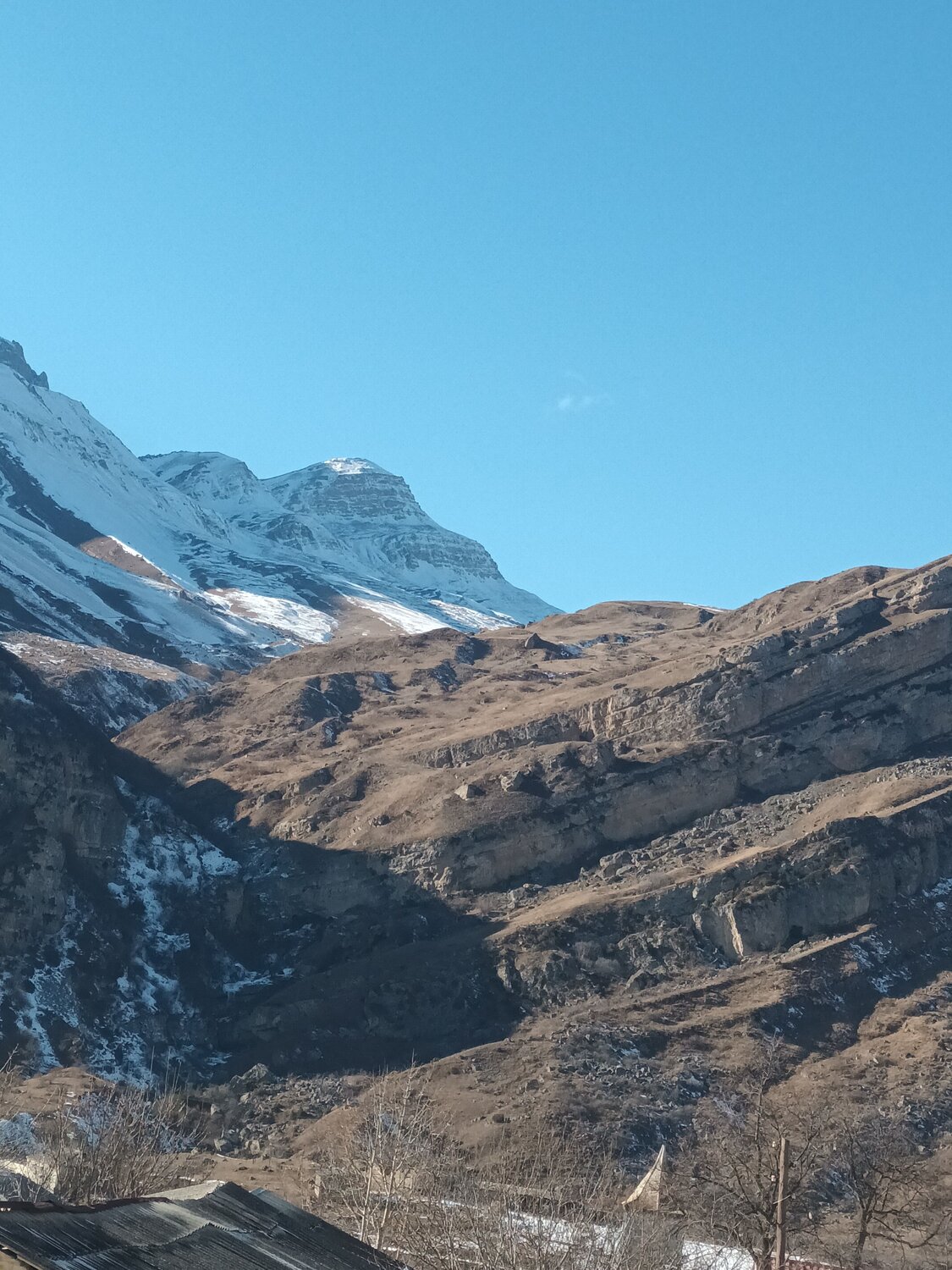 Photo #11616411