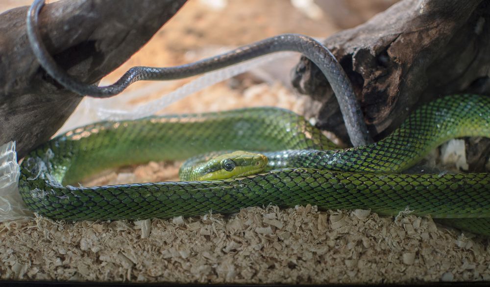 Photograph by Светлана Мельник