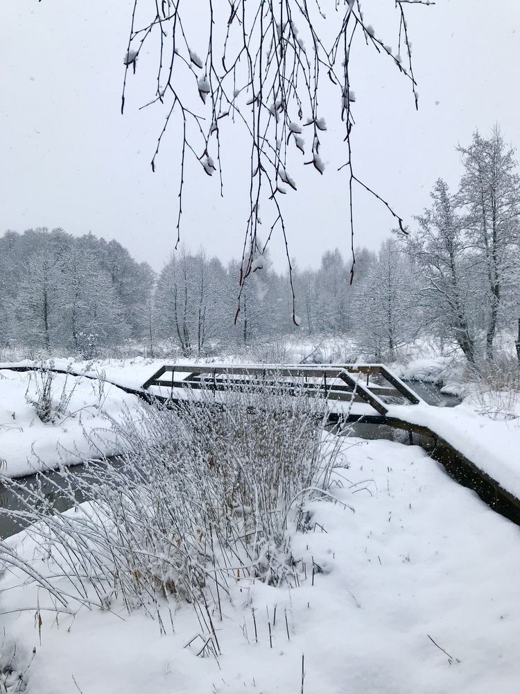 Photograph by Надежда Ткаченко