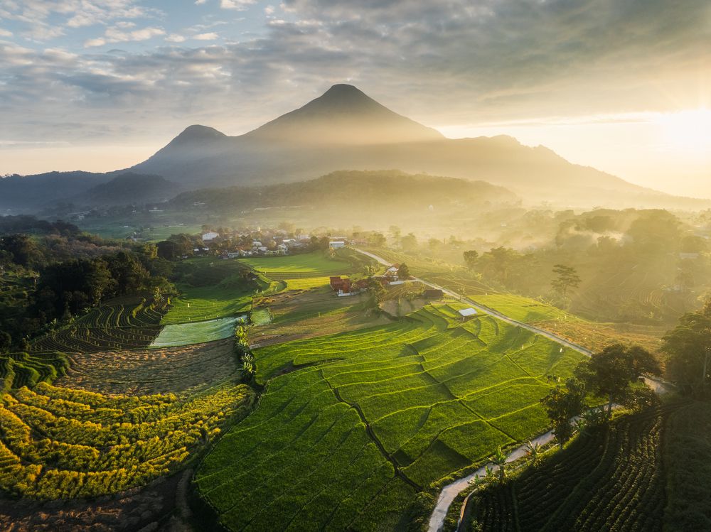 Фотография автора Steffan Chave