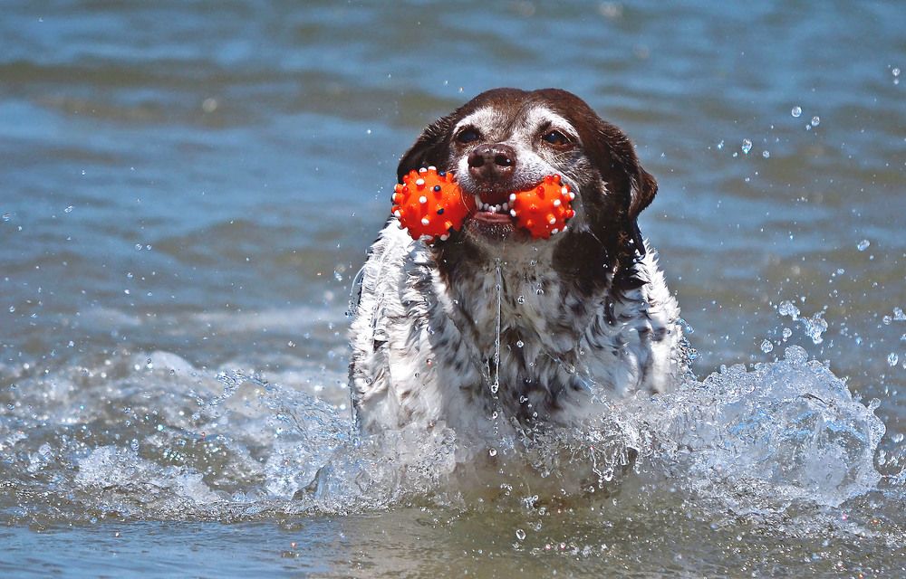 Photograph by Marjo Steffen