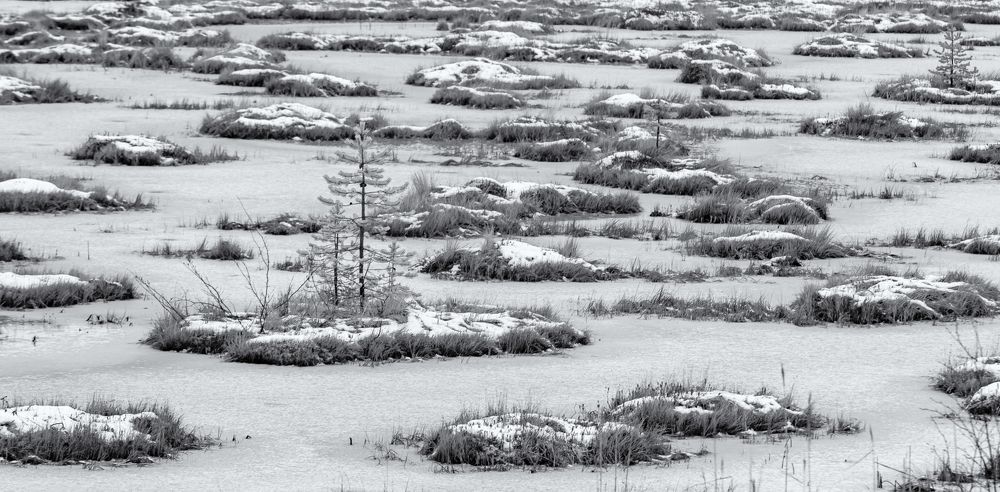 Photograph by Алексей Лазарев