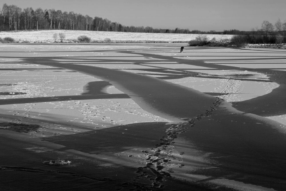 Зимние радости