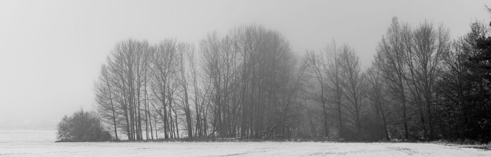 friends in a strange place.