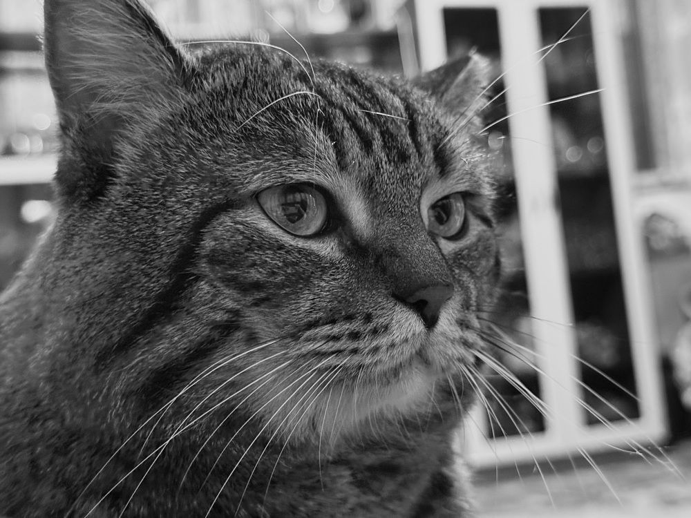 Photograph by Ксения Любченко