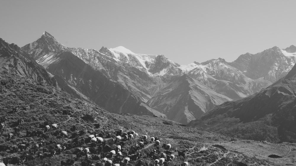 Фотография автора Рясков Иван