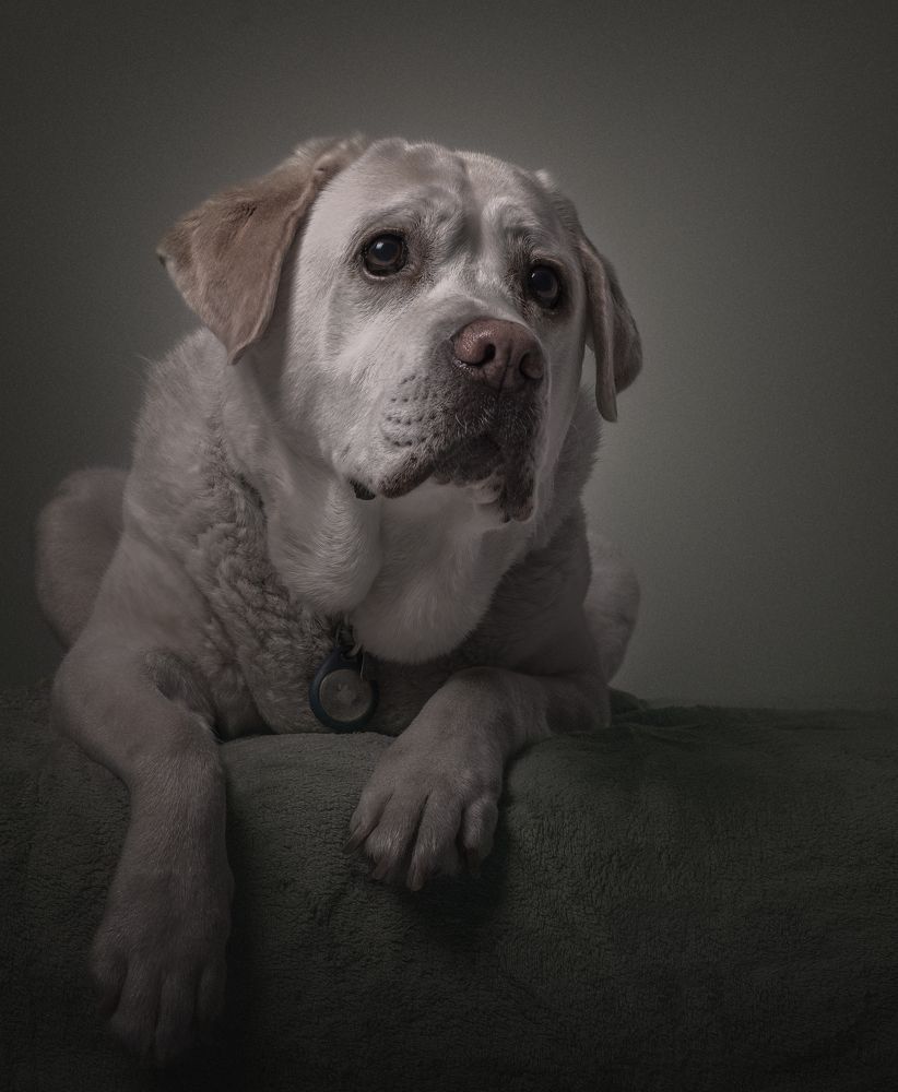 Photograph by Federica Repossi