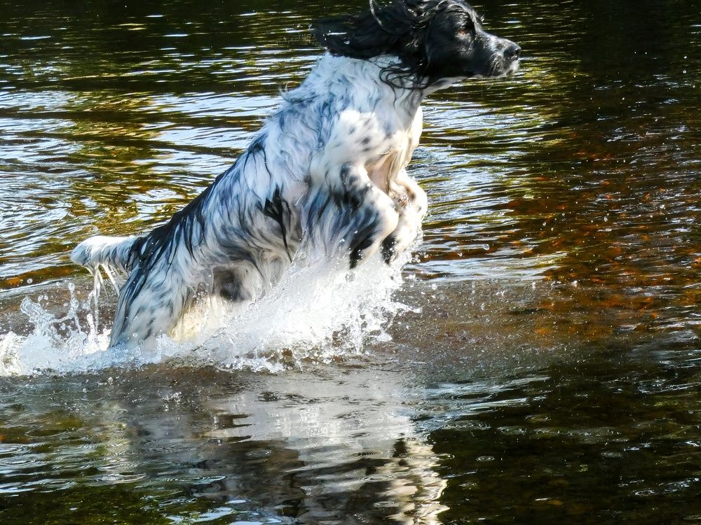 Фотография автора Michael Gault