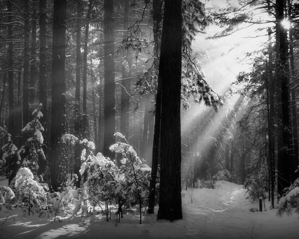 Photograph by Кузнецов Дмитрий