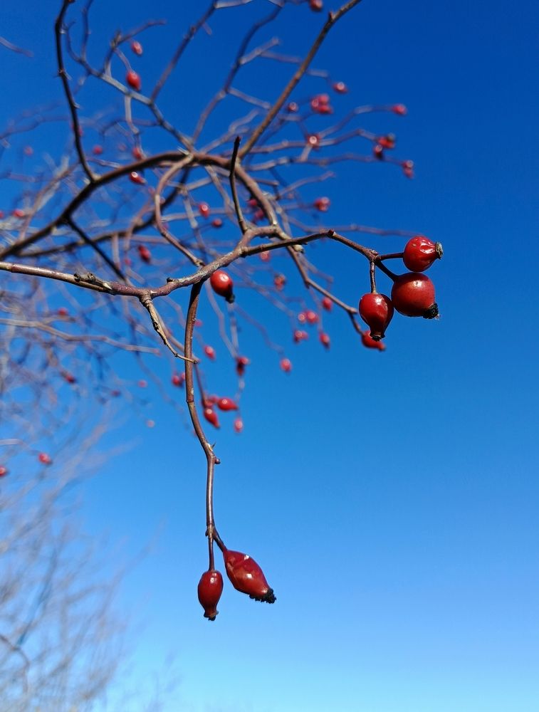 Photograph by Наталья Покрепина