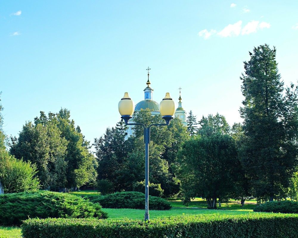 высший свет