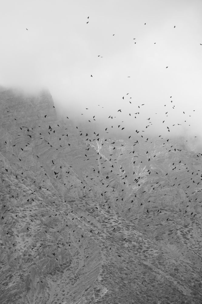 Фотография автора Рясков Иван