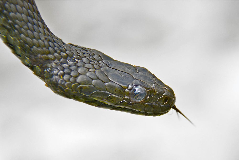 Photograph by Marjo Steffen