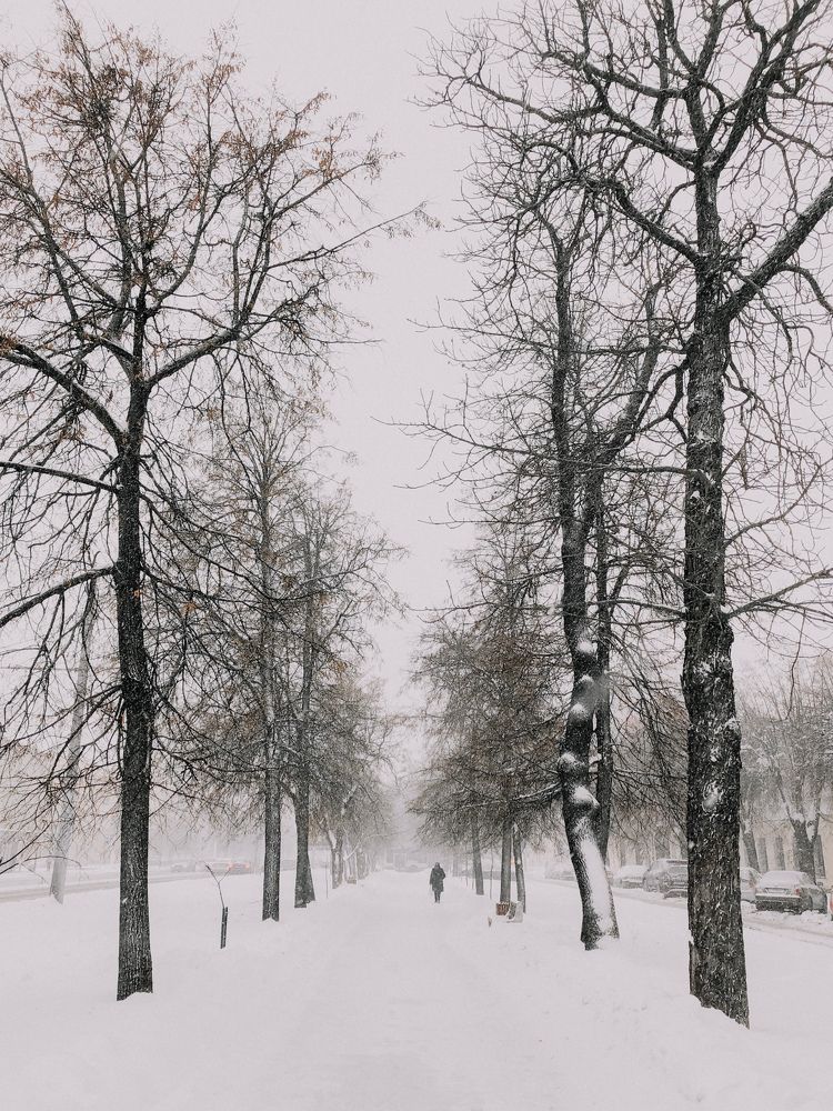 Photograph by Кристина Луканова