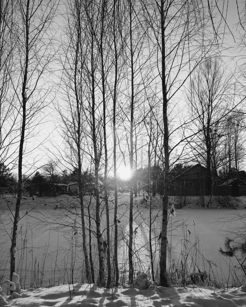 Photograph by Кристина Луканова