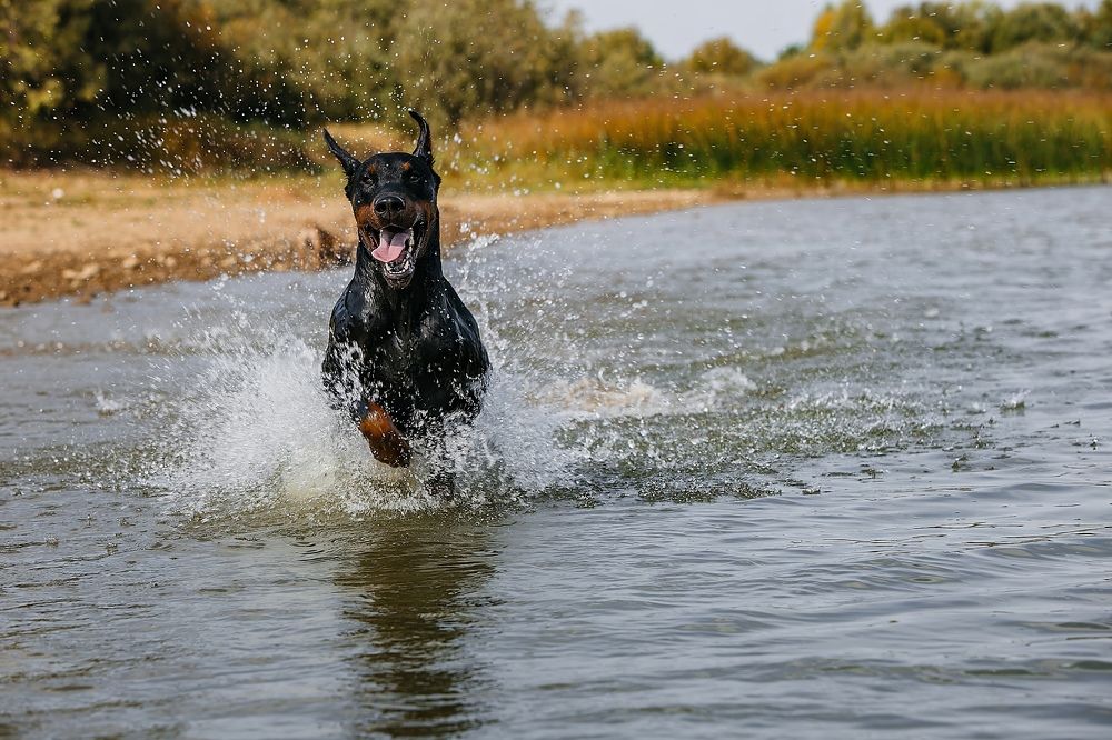 Photograph by Юлия Скворцова