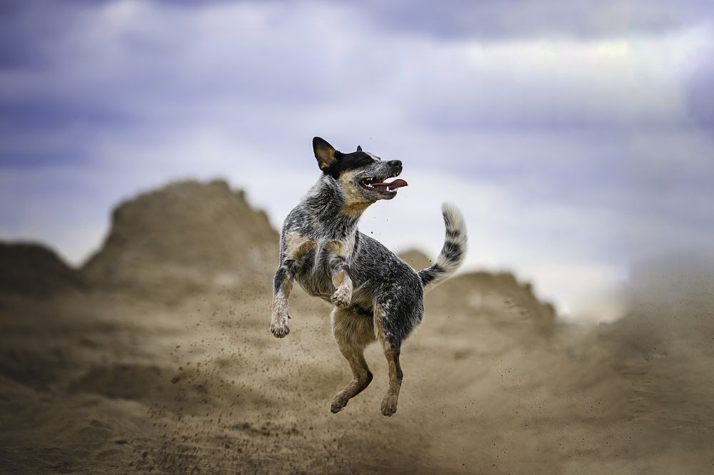 Photograph by Юлия Скворцова