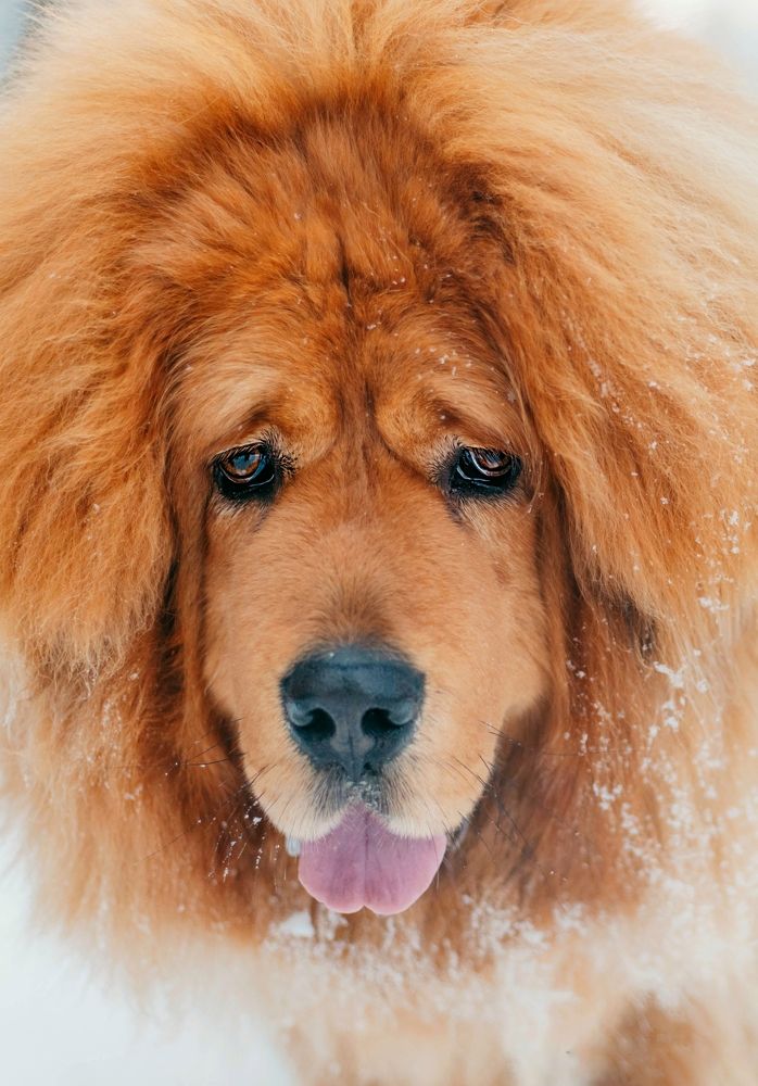 Photograph by Татьяна