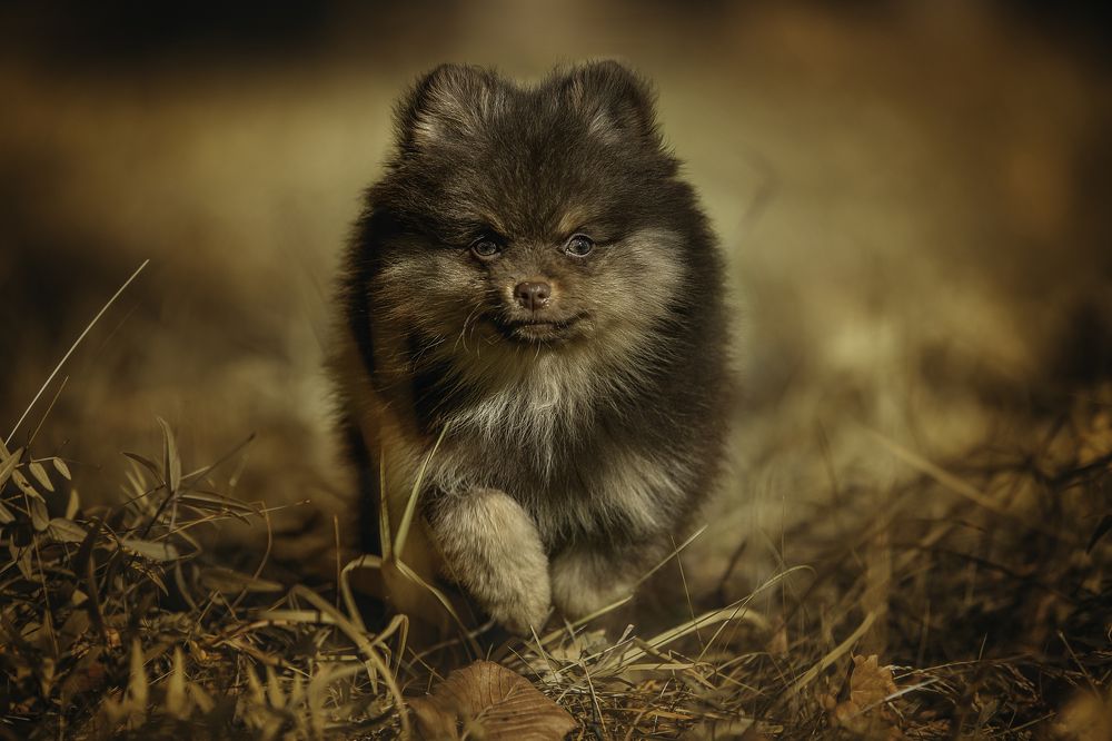 Photograph by Юлия Скворцова