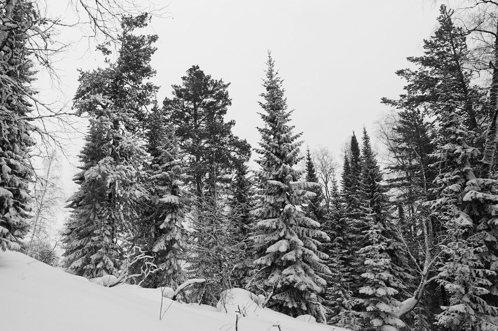 Photograph by Владимир Семиченко