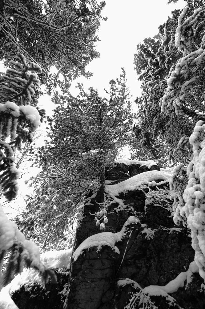 Photograph by Владимир Семиченко