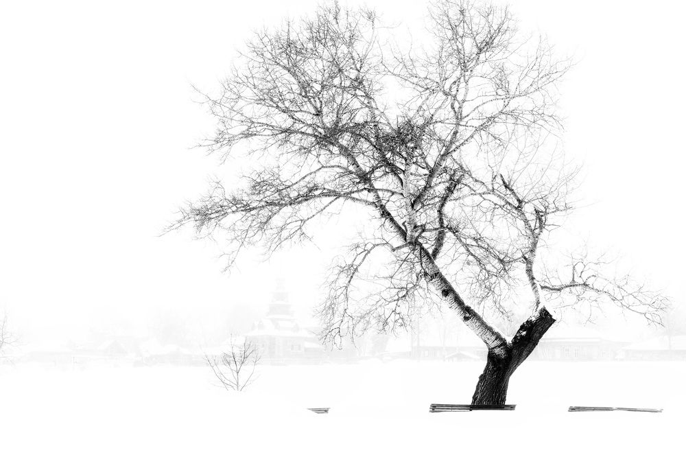 Photograph by Алена Устинович