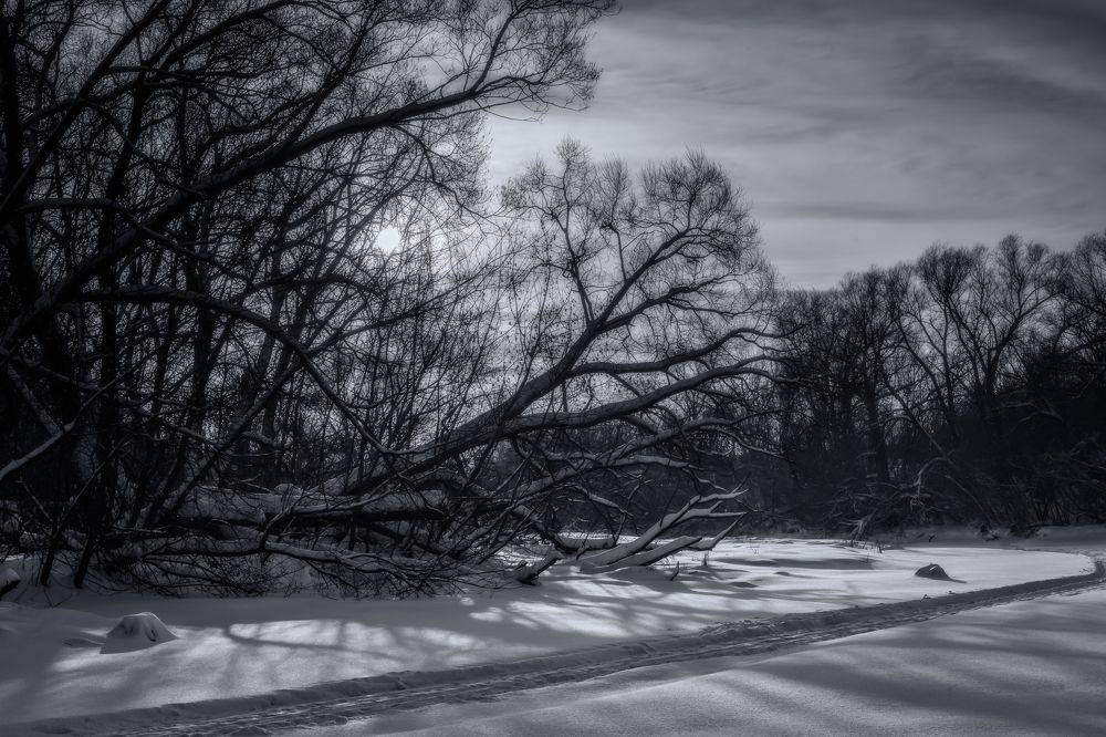 Photograph by Алена Устинович