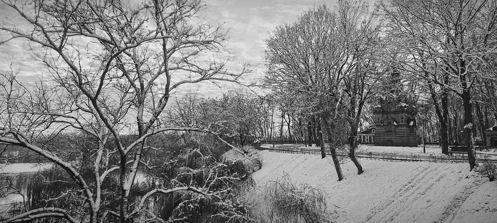 Photograph by Mishel Photographer