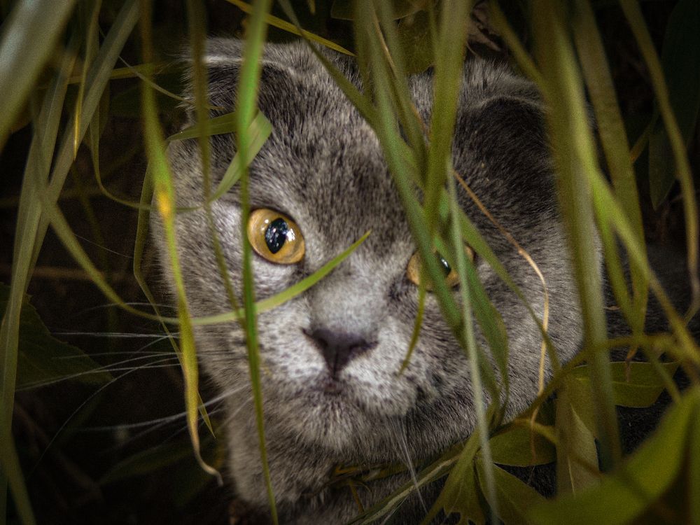 Photograph by Aleksandr Belov