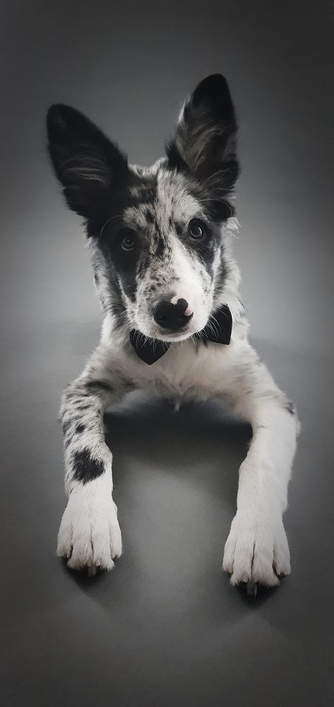 Фотография автора Наталья Старикова