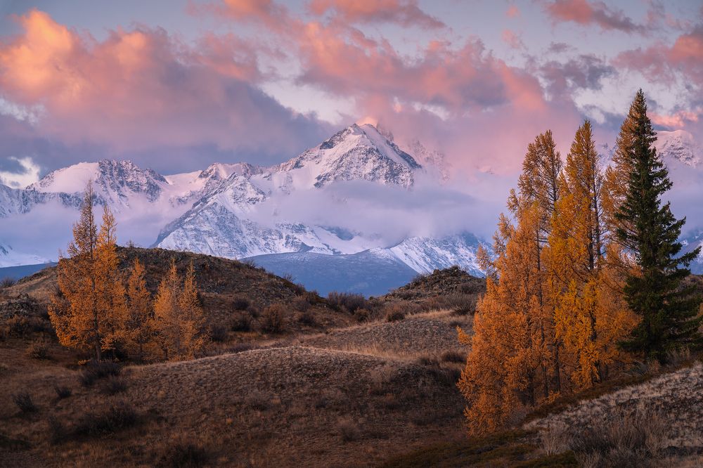 Photograph by Александр Кукринов