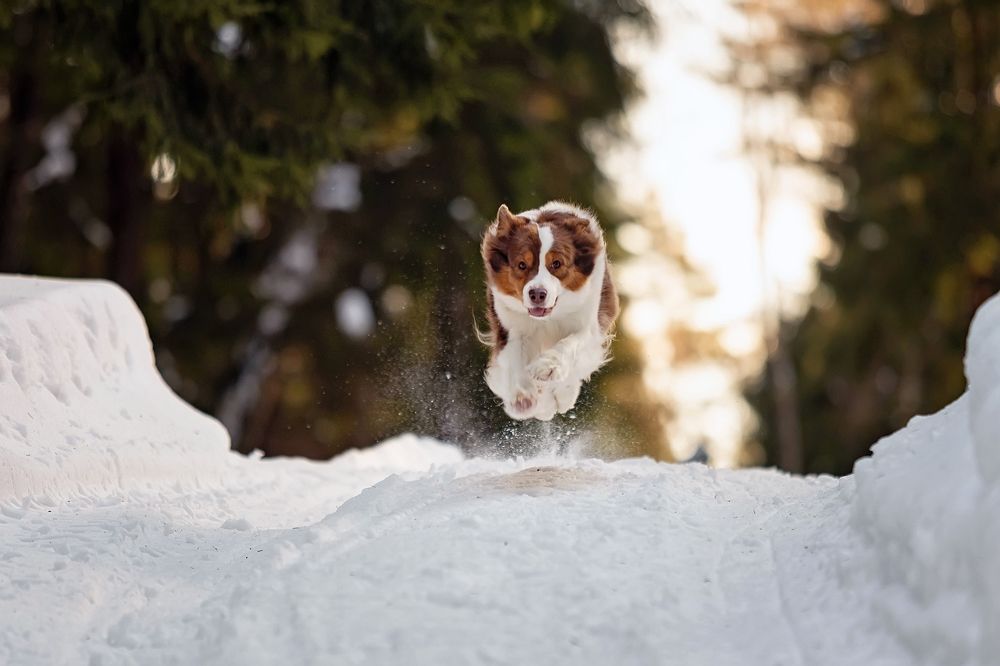 Фотография автора Ольга Кузина