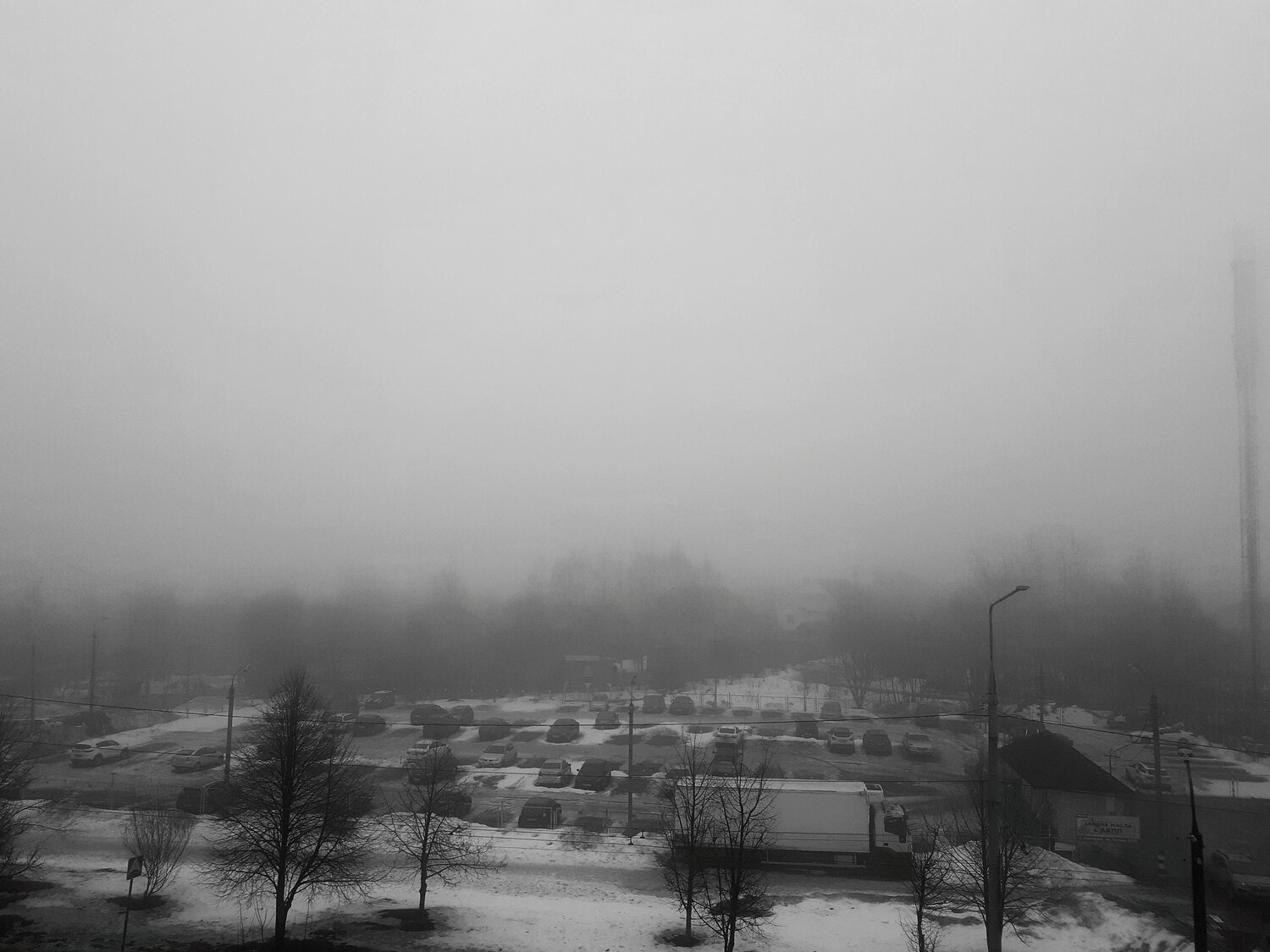 Photo #11616818
