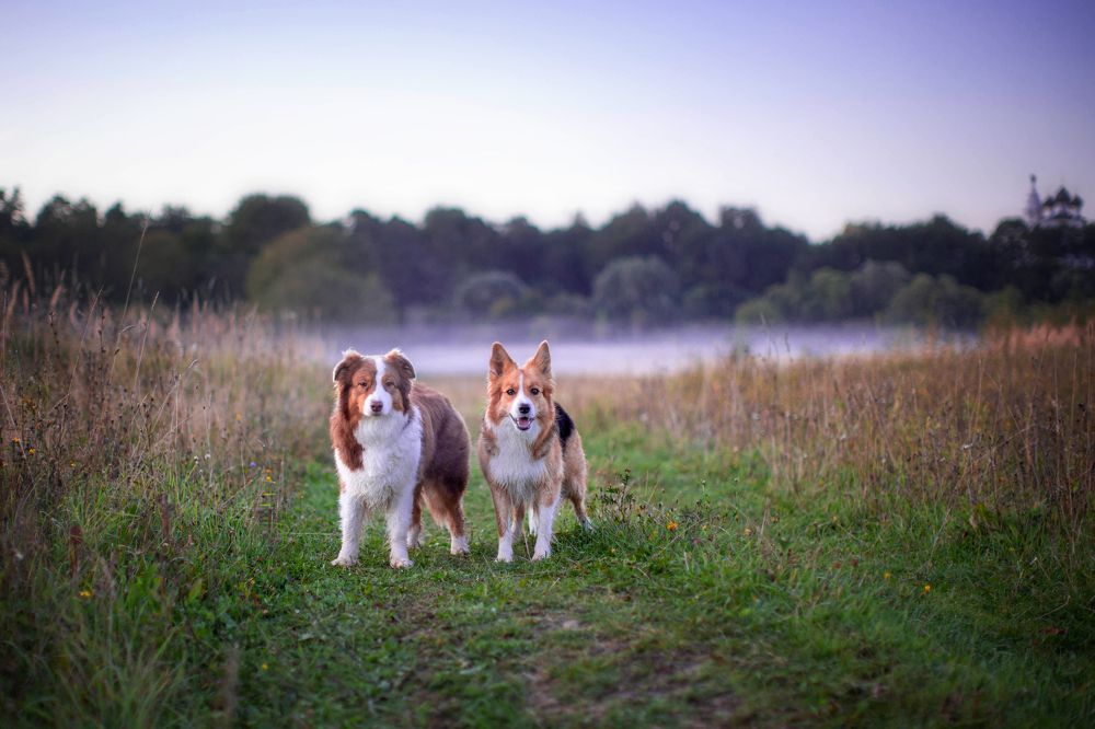 Фотография автора Ольга Кузина