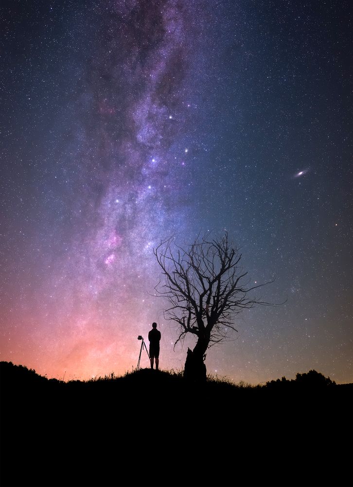 Фотография автора Hajnal József