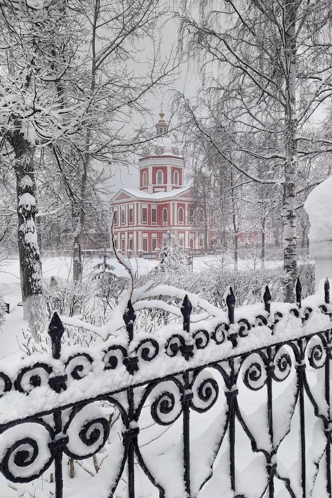 Фотография автора Тамара Караваева