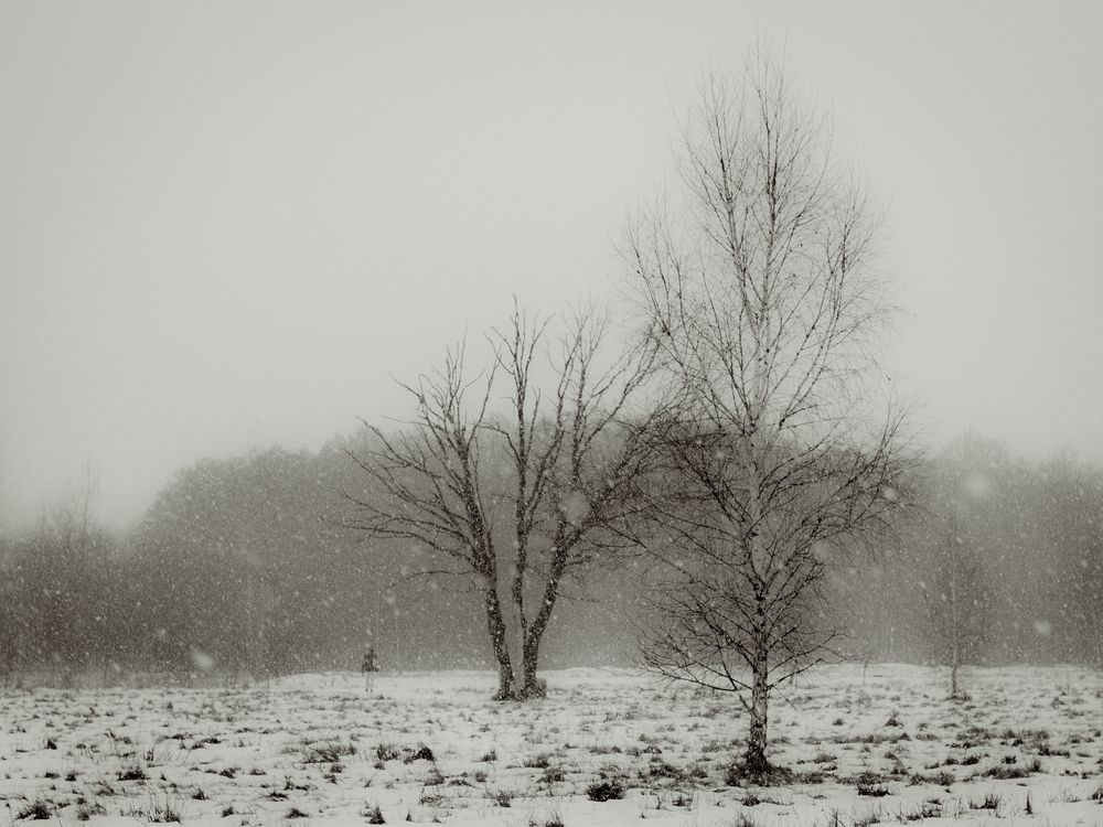 Photograph by Евгения Шулакова
