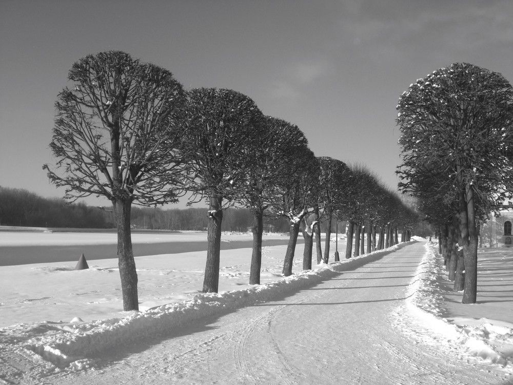 Photograph by Zakharov Matvey