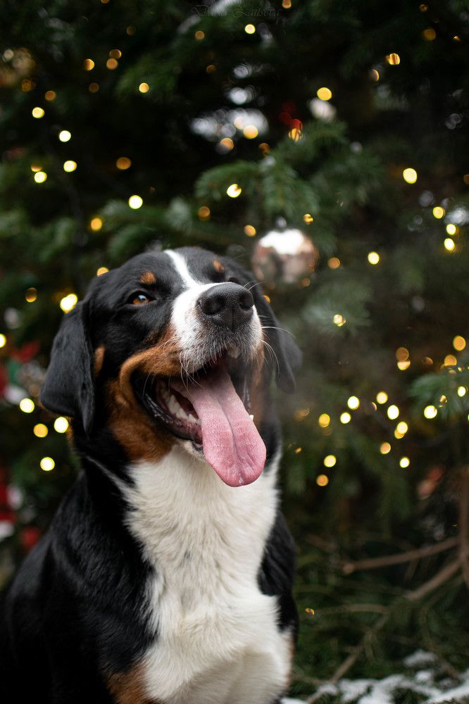 Photograph by Дарья Зайцева