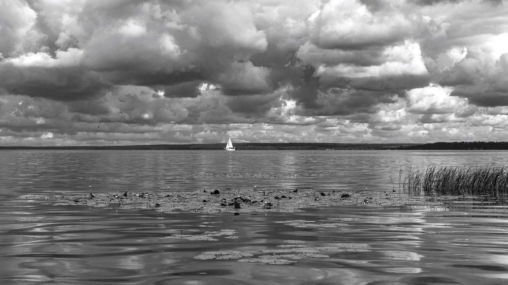 Photograph by Александр Литвинов