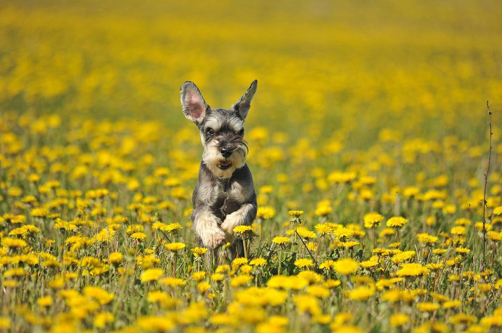 Photograph by Юрий Яковлев