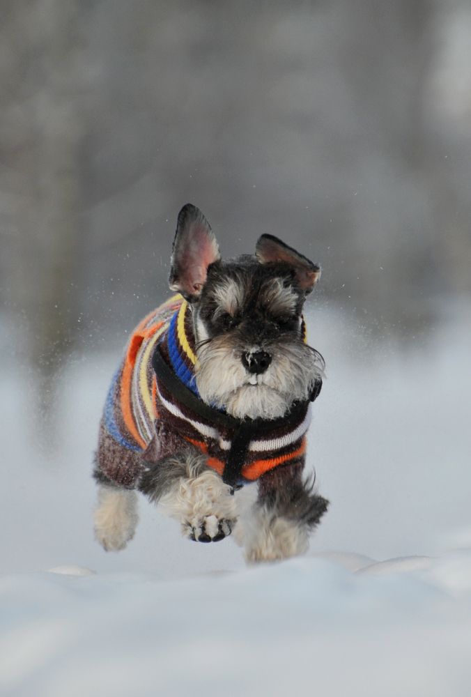 Photograph by Юрий Яковлев