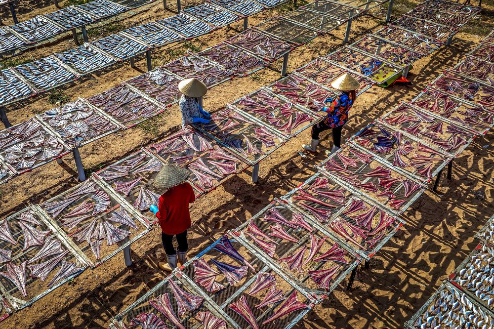 Drying fish