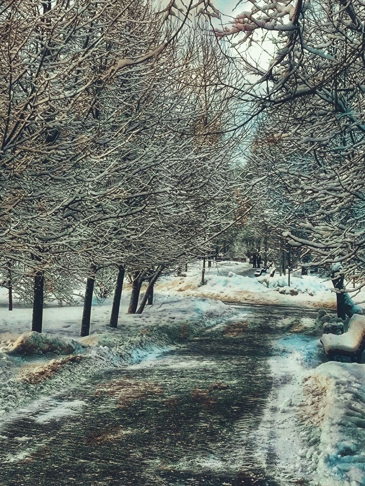 Photograph by Ирина Горбач