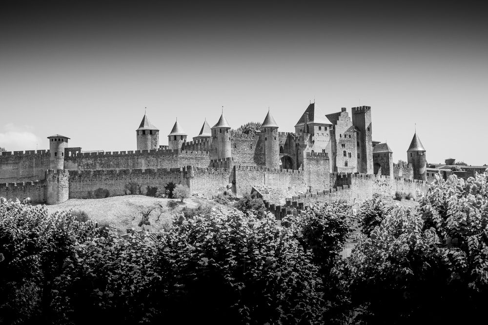 Photograph by Egor Koshkin