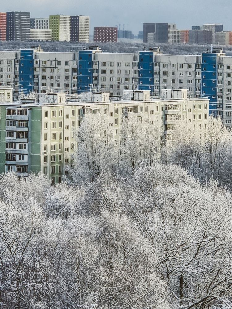 Фотография автора Светлана Алексеева