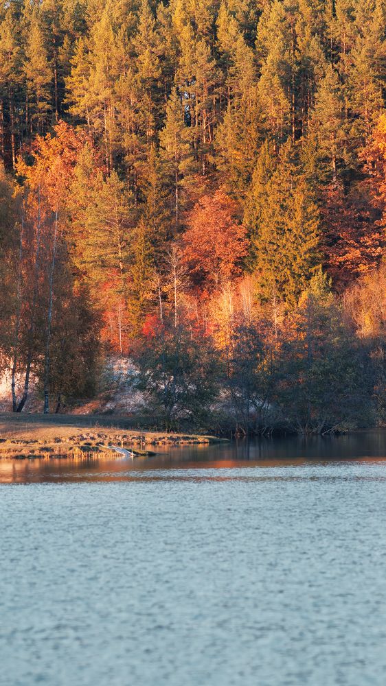 Фотография автора Ильнур